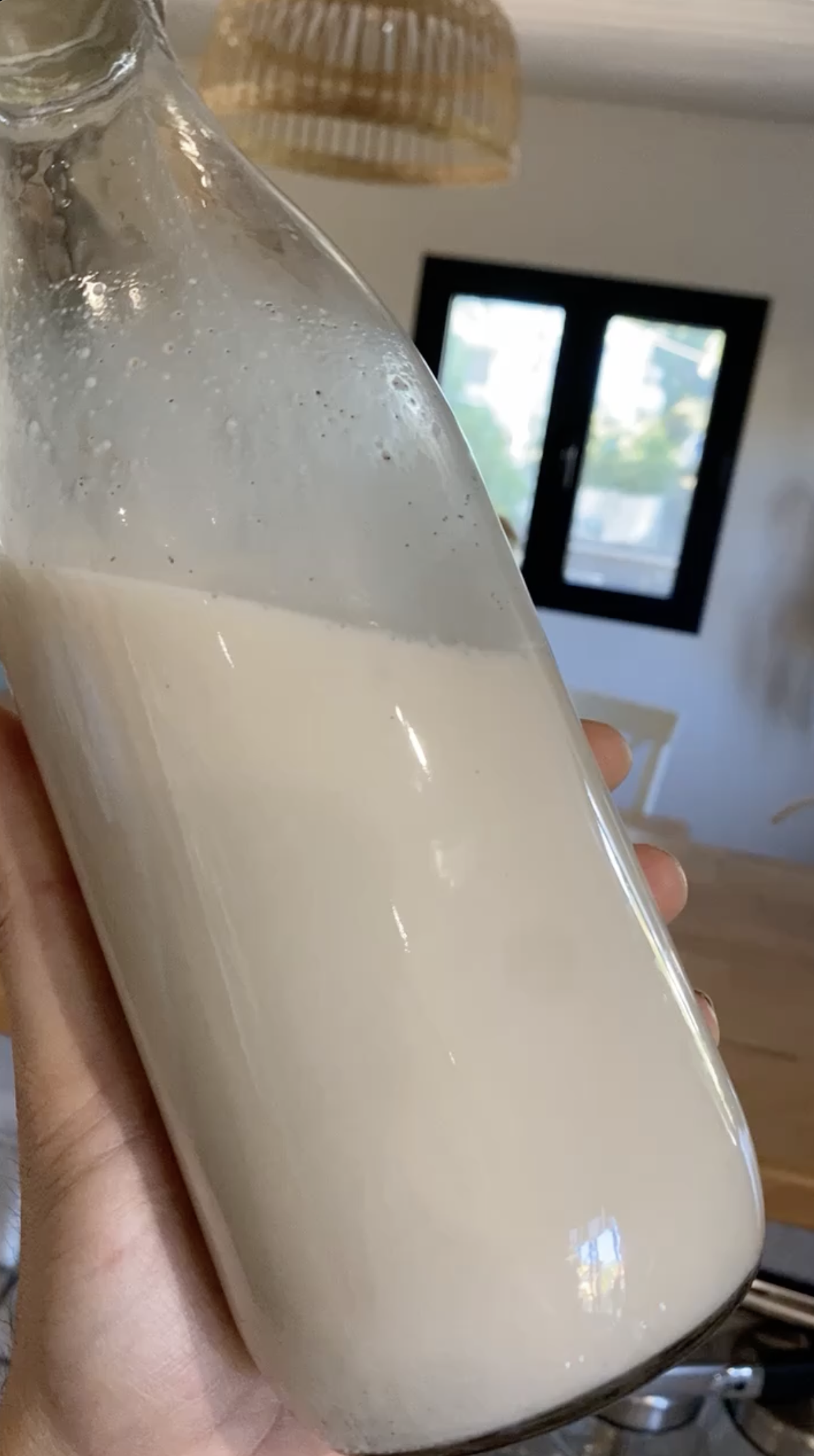 Lire la suite à propos de l’article Lait végétal rapide – amande et noisette